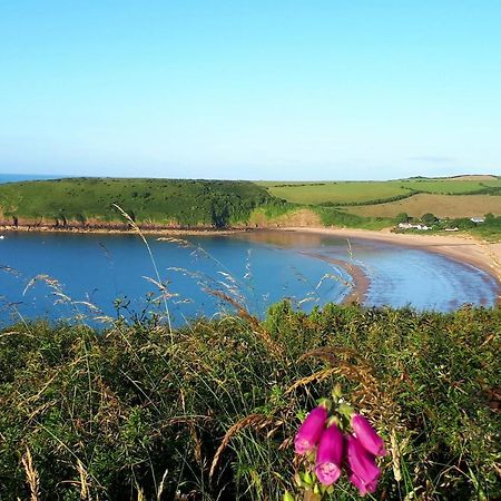 A Beach Holiday In Pembrokeshire Eksteriør billede