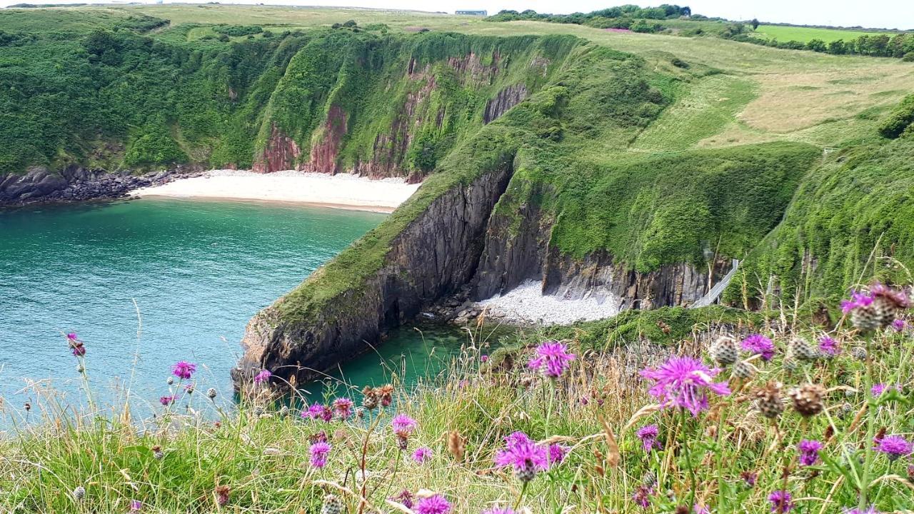 A Beach Holiday In Pembrokeshire Eksteriør billede
